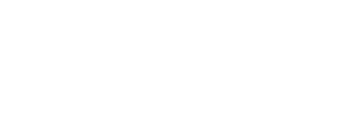 The anatomy of a BSON Object Id